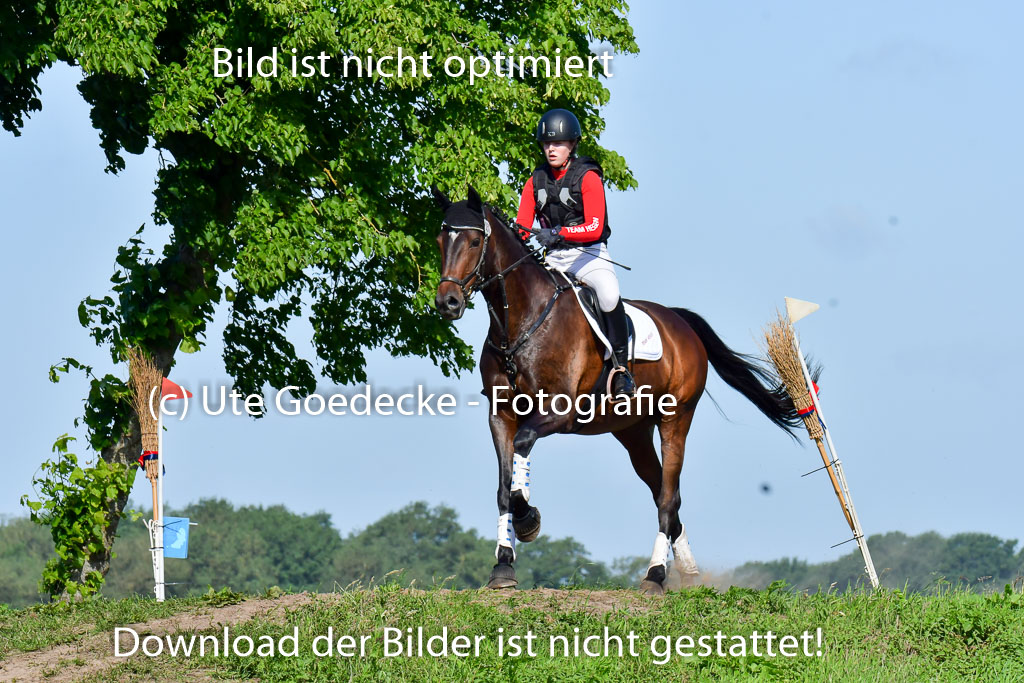 Goldene Schärpe PFerde  in Löningen  11+12.6.22 | 11062022 - Gelände 1 Abt_0275 
