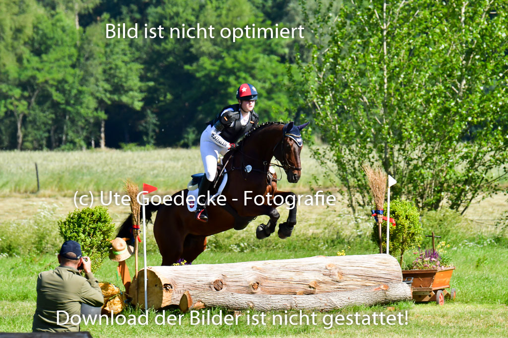 Goldene Schärpe PFerde  in Löningen  11+12.6.22 | 11062022 - Gelände 1 Abt_0278 