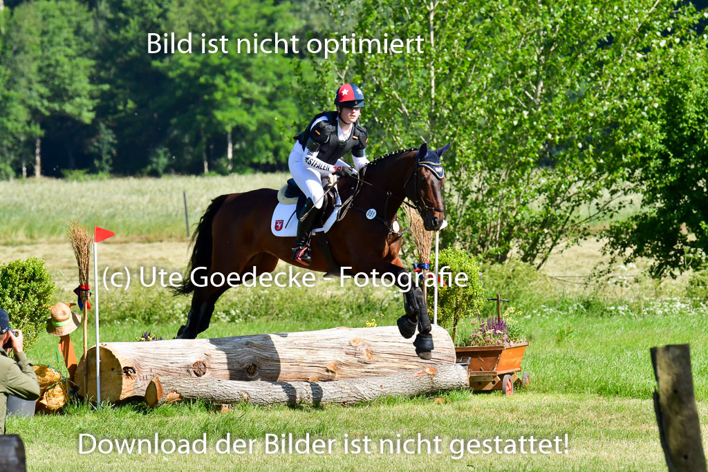 Goldene Schärpe PFerde  in Löningen  11+12.6.22 | 11062022 - Gelände 1 Abt_0280 