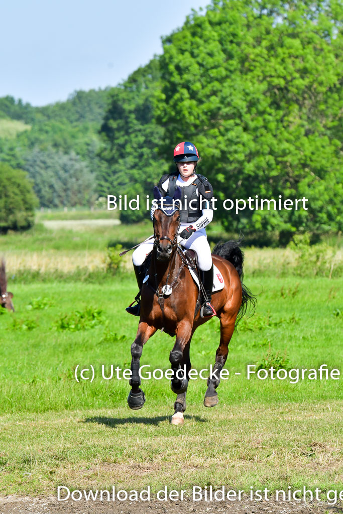 Goldene Schärpe PFerde  in Löningen  11+12.6.22 | 11062022 - Gelände 1 Abt_0282 