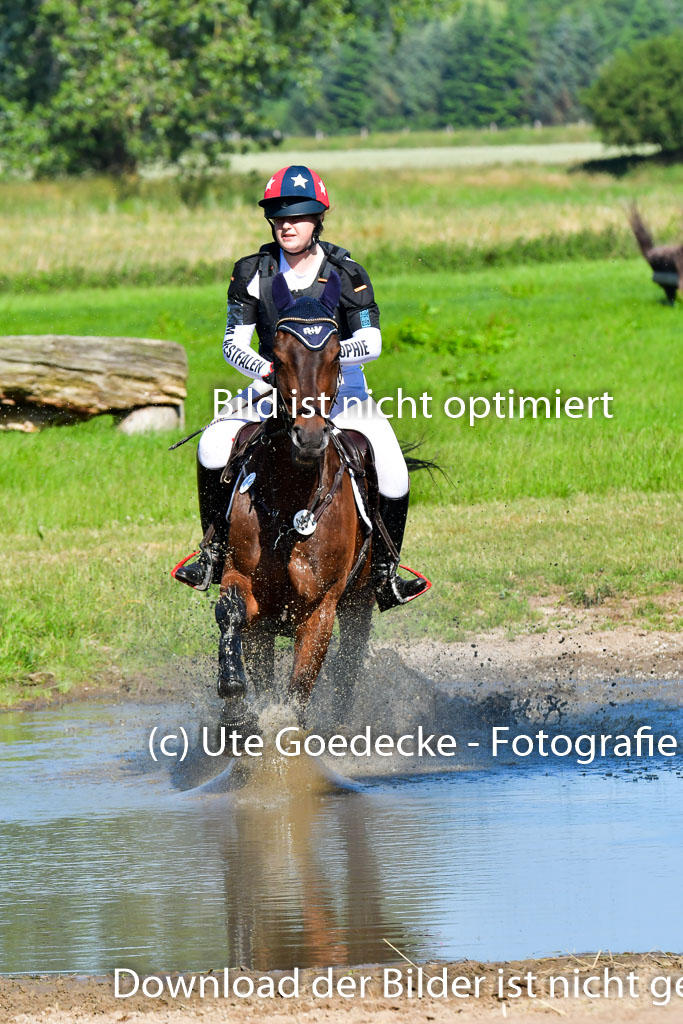 Goldene Schärpe PFerde  in Löningen  11+12.6.22 | 11062022 - Gelände 1 Abt_0285 