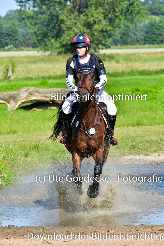 Goldene Schärpe PFerde  in Löningen  11+12.6.22 | 11062022 - Gelände 1 Abt_0286 