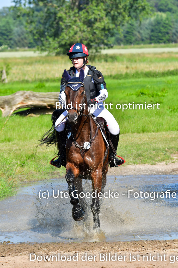 Goldene Schärpe PFerde  in Löningen  11+12.6.22 | 11062022 - Gelände 1 Abt_0287 