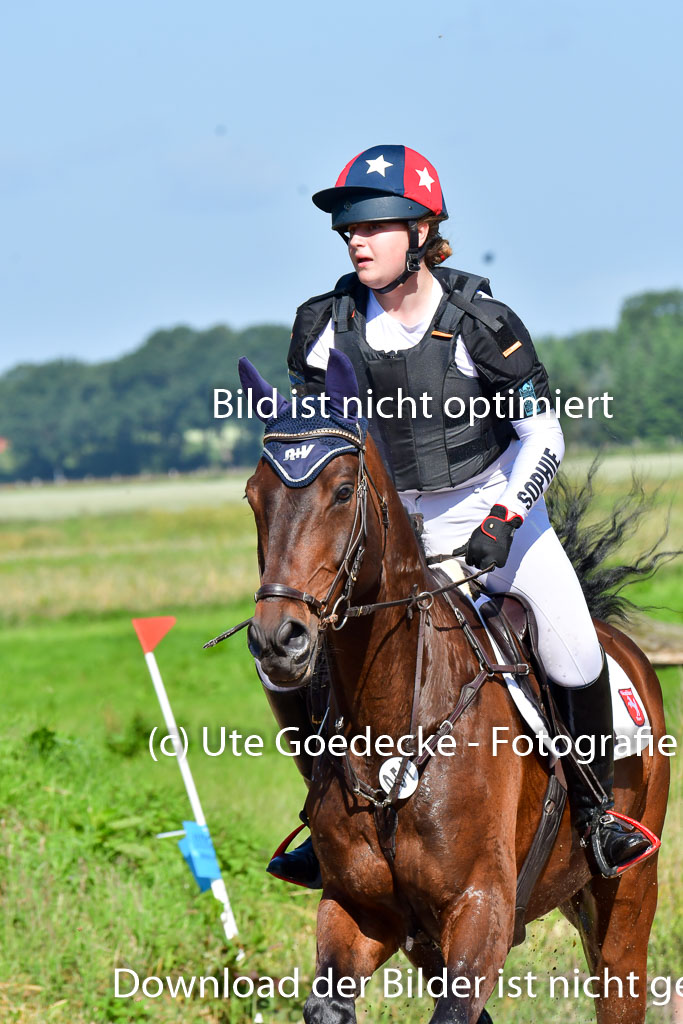 Goldene Schärpe PFerde  in Löningen  11+12.6.22 | 11062022 - Gelände 1 Abt_0289 