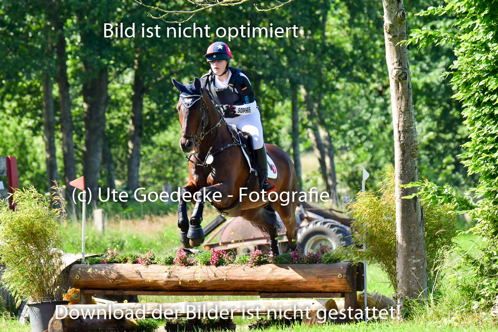 Goldene Schärpe PFerde  in Löningen  11+12.6.22 | 11062022 - Gelände 1 Abt_0292 
