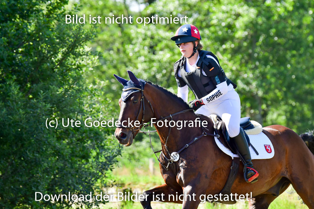 Goldene Schärpe PFerde  in Löningen  11+12.6.22 | 11062022 - Gelände 1 Abt_0293 