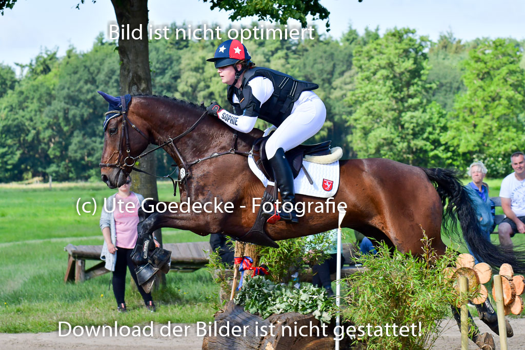 Goldene Schärpe PFerde  in Löningen  11+12.6.22 | 11062022 - Gelände 1 Abt_0296 
