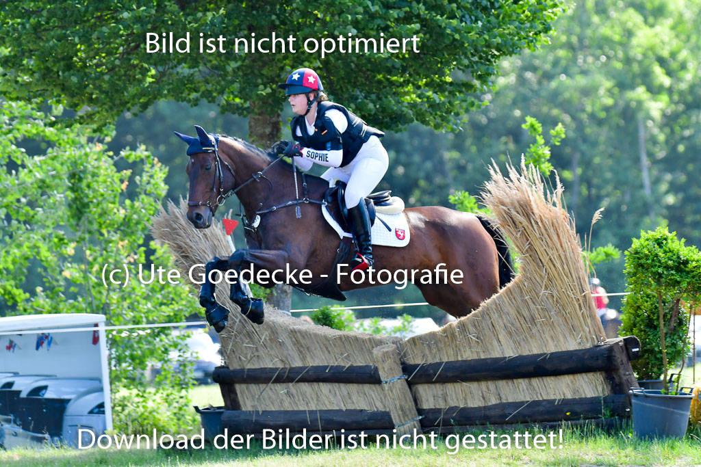 Goldene Schärpe PFerde  in Löningen  11+12.6.22 | 11062022 - Gelände 1 Abt_0298 