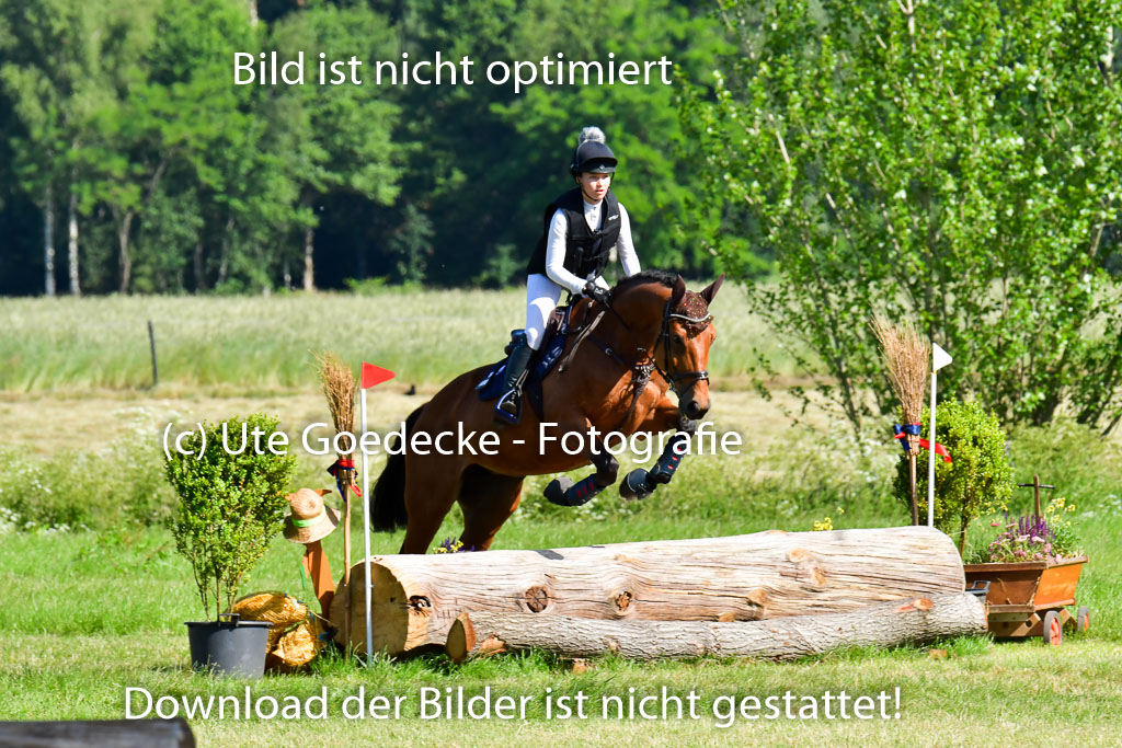 Goldene Schärpe PFerde  in Löningen  11+12.6.22 | 11062022 - Gelände 1 Abt_0302 