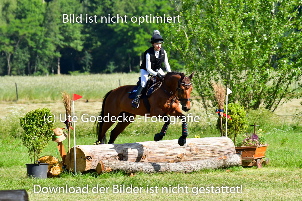 Goldene Schärpe PFerde  in Löningen  11+12.6.22 | 11062022 - Gelände 1 Abt_0303 