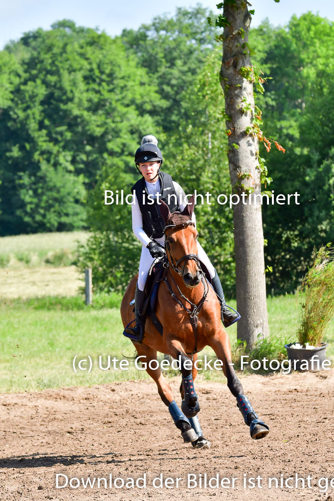 Goldene Schärpe PFerde  in Löningen  11+12.6.22 | 11062022 - Gelände 1 Abt_0304 