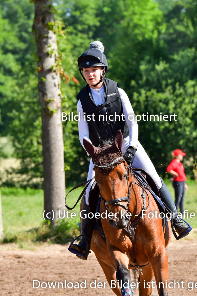 Goldene Schärpe PFerde  in Löningen  11+12.6.22 | 11062022 - Gelände 1 Abt_0305 
