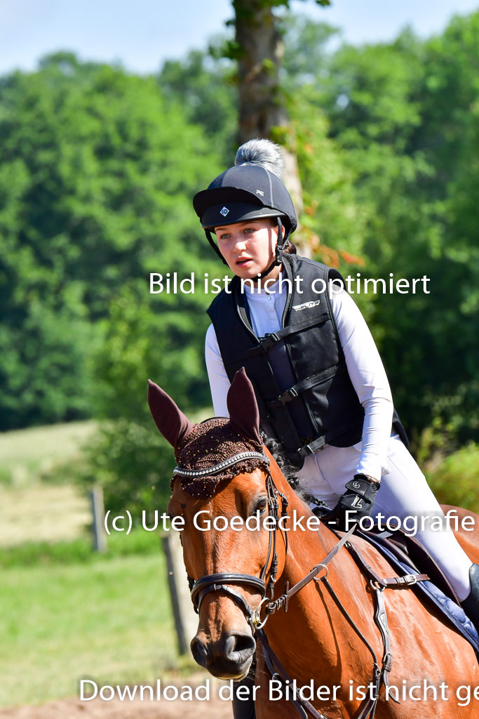 Goldene Schärpe PFerde  in Löningen  11+12.6.22 | 11062022 - Gelände 1 Abt_0306 