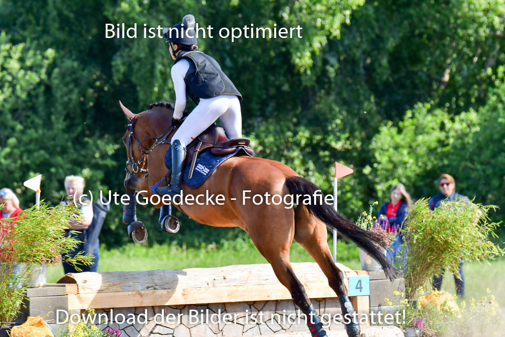 Goldene Schärpe PFerde  in Löningen  11+12.6.22 | 11062022 - Gelände 1 Abt_0307 
