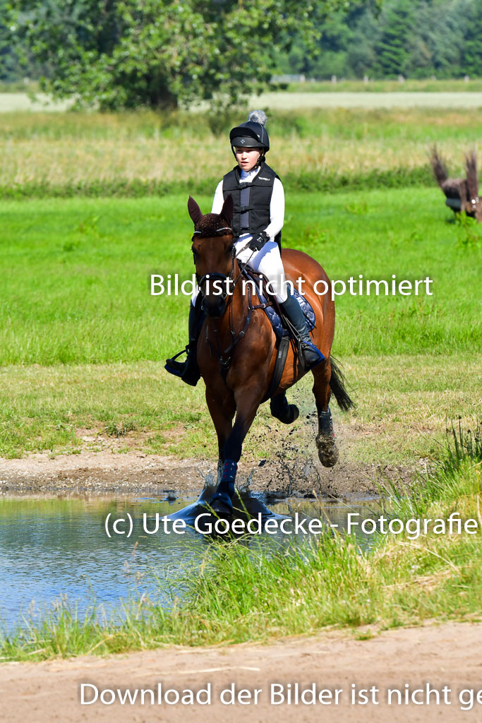 Goldene Schärpe PFerde  in Löningen  11+12.6.22 | 11062022 - Gelände 1 Abt_0308 