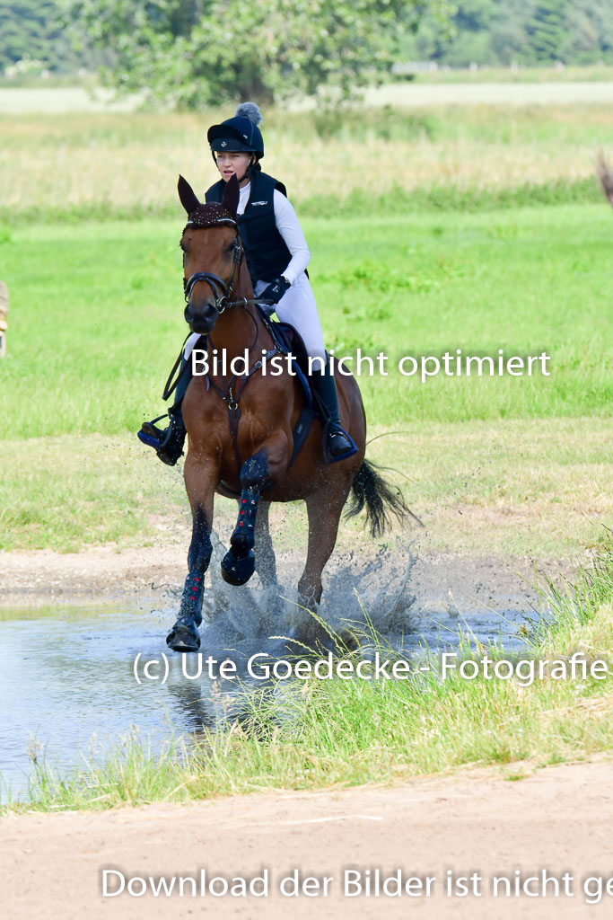 Goldene Schärpe PFerde  in Löningen  11+12.6.22 | 11062022 - Gelände 1 Abt_0309 