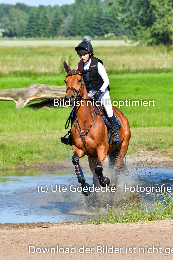 Goldene Schärpe PFerde  in Löningen  11+12.6.22 | 11062022 - Gelände 1 Abt_0310 