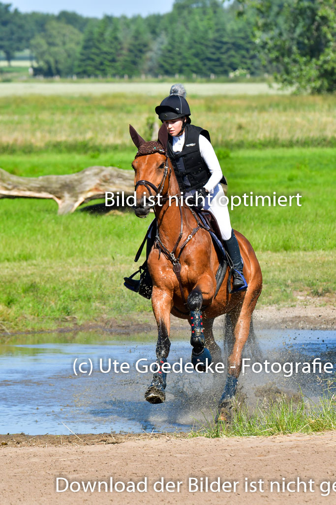 Goldene Schärpe PFerde  in Löningen  11+12.6.22 | 11062022 - Gelände 1 Abt_0311 