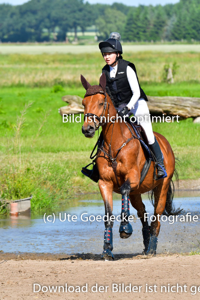Goldene Schärpe PFerde  in Löningen  11+12.6.22 | 11062022 - Gelände 1 Abt_0312 