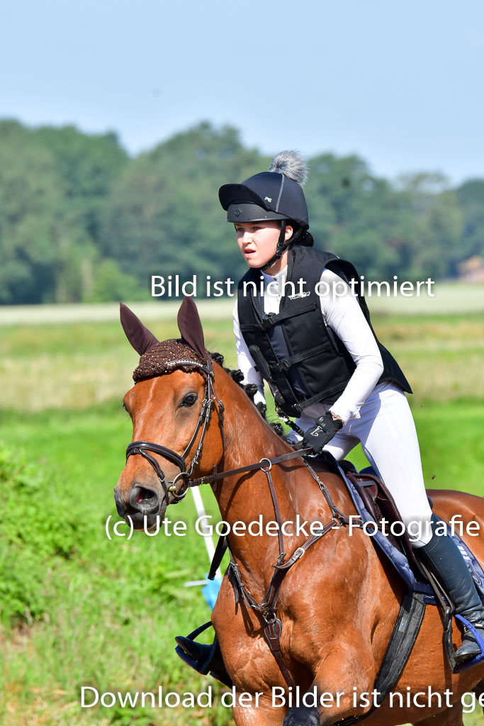 Goldene Schärpe PFerde  in Löningen  11+12.6.22 | 11062022 - Gelände 1 Abt_0313 