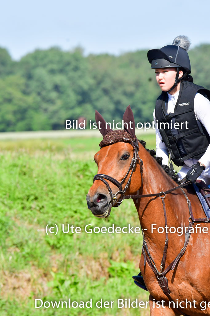 Goldene Schärpe PFerde  in Löningen  11+12.6.22 | 11062022 - Gelände 1 Abt_0314 