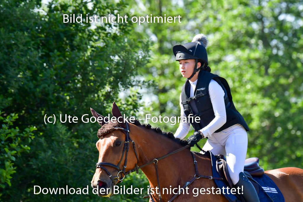 Goldene Schärpe PFerde  in Löningen  11+12.6.22 | 11062022 - Gelände 1 Abt_0318 
