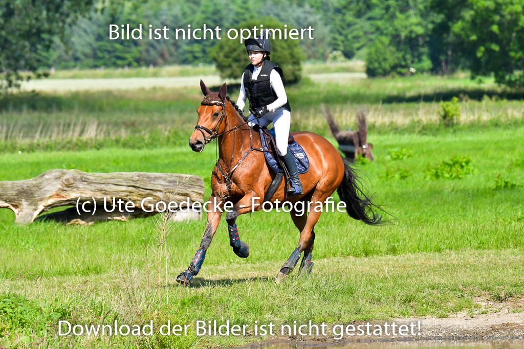 Goldene Schärpe PFerde  in Löningen  11+12.6.22 | 11062022 - Gelände 1 Abt_0319 