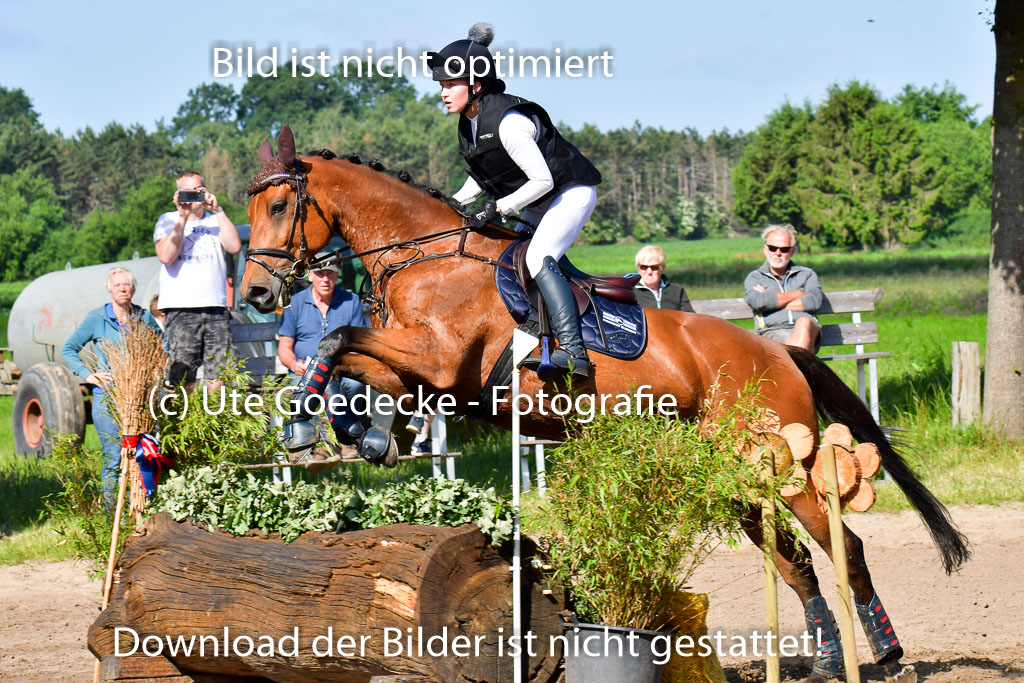 Goldene Schärpe PFerde  in Löningen  11+12.6.22 | 11062022 - Gelände 1 Abt_0321 
