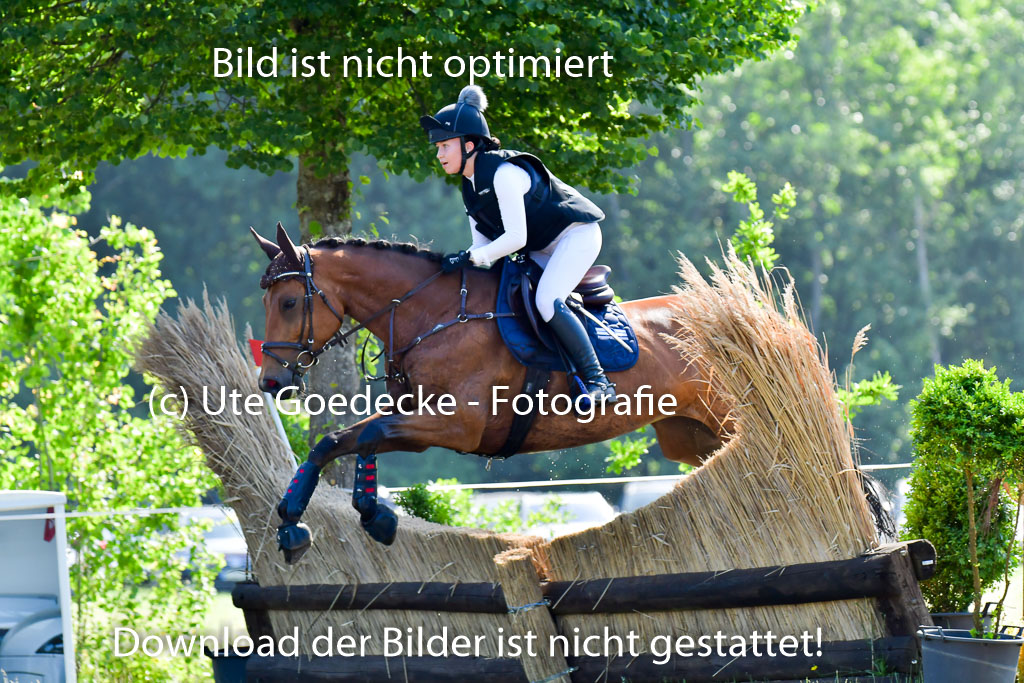 Goldene Schärpe PFerde  in Löningen  11+12.6.22 | 11062022 - Gelände 1 Abt_0323 