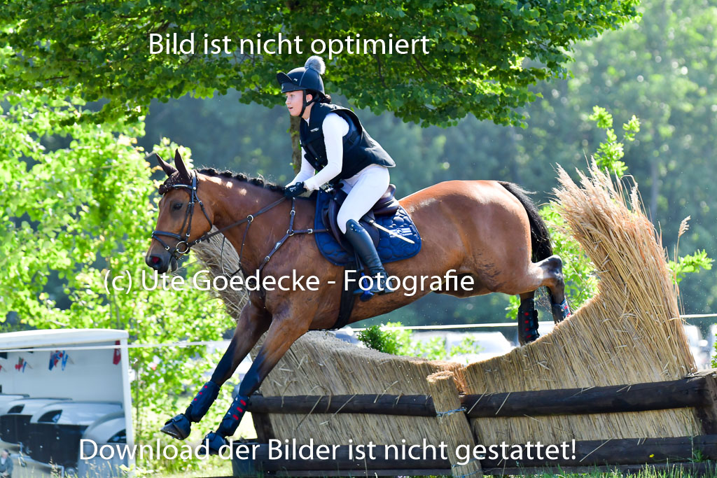 Goldene Schärpe PFerde  in Löningen  11+12.6.22 | 11062022 - Gelände 1 Abt_0324 