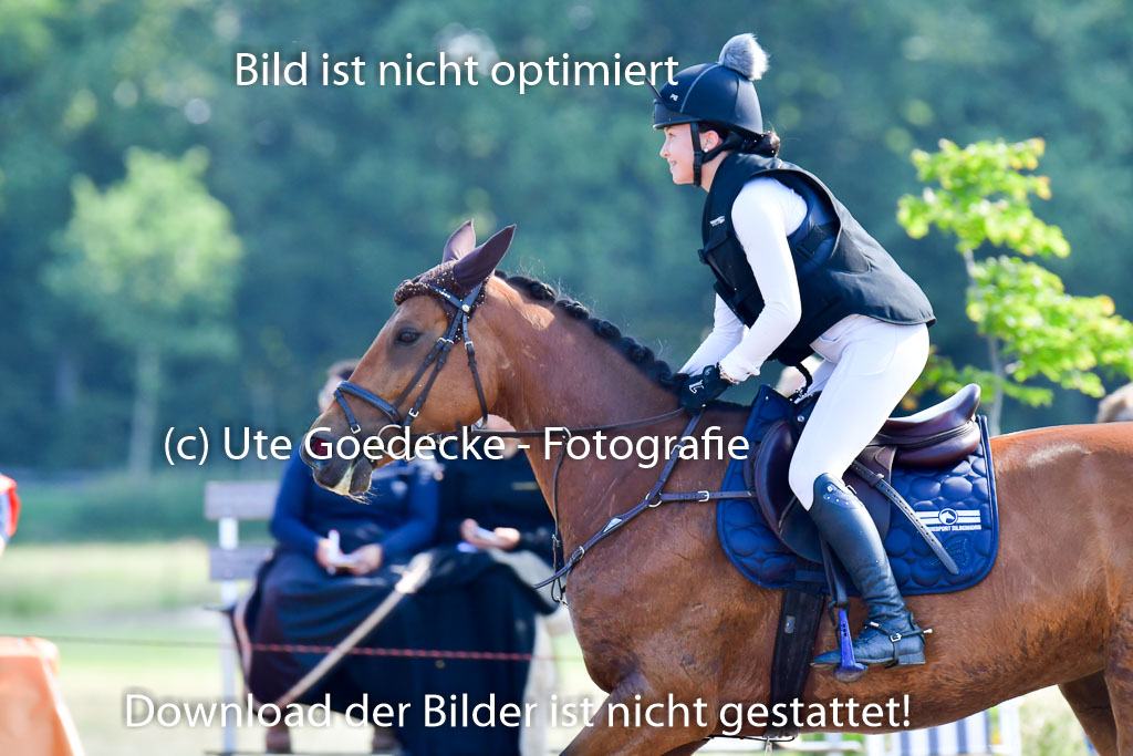Goldene Schärpe PFerde  in Löningen  11+12.6.22 | 11062022 - Gelände 1 Abt_0325 