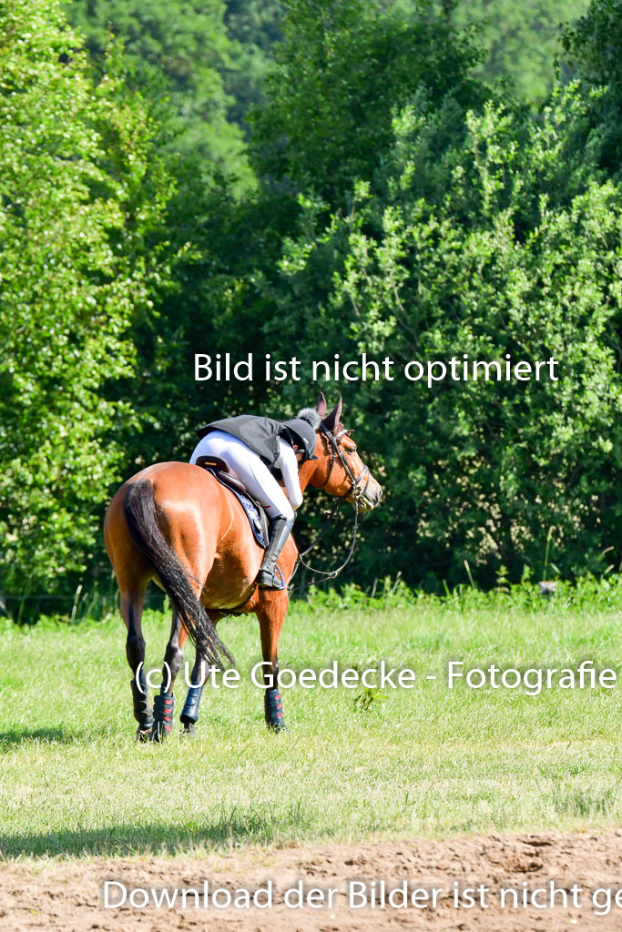 Goldene Schärpe PFerde  in Löningen  11+12.6.22 | 11062022 - Gelände 1 Abt_0326 