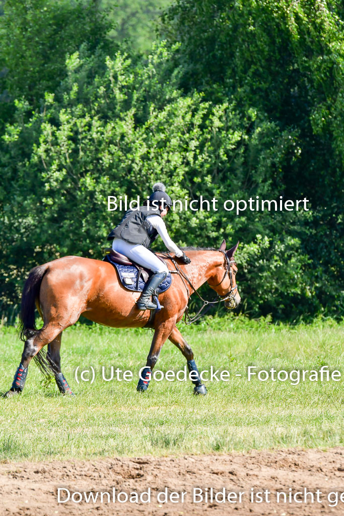 Goldene Schärpe PFerde  in Löningen  11+12.6.22 | 11062022 - Gelände 1 Abt_0327 