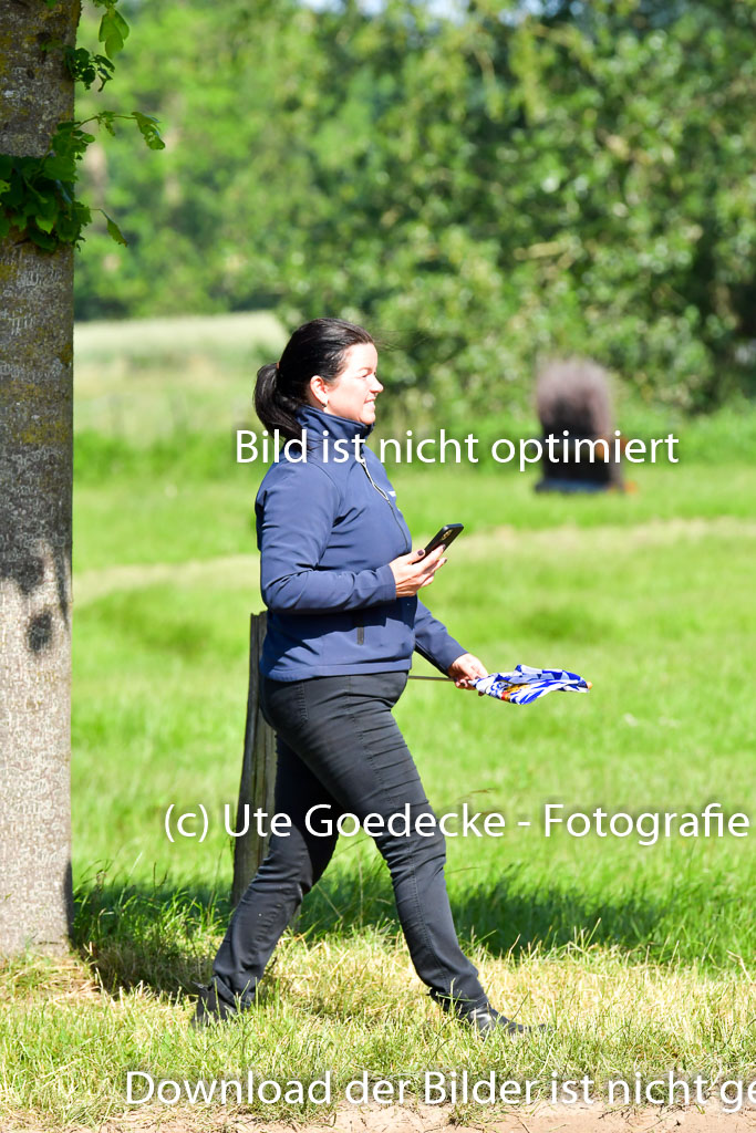 Goldene Schärpe PFerde  in Löningen  11+12.6.22 | 11062022 - Gelände 1 Abt_0328 