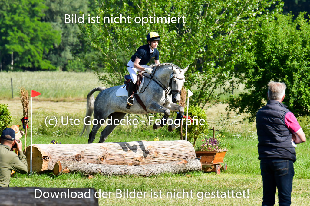 Goldene Schärpe PFerde  in Löningen  11+12.6.22 | 11062022 - Gelände 1 Abt_0329 