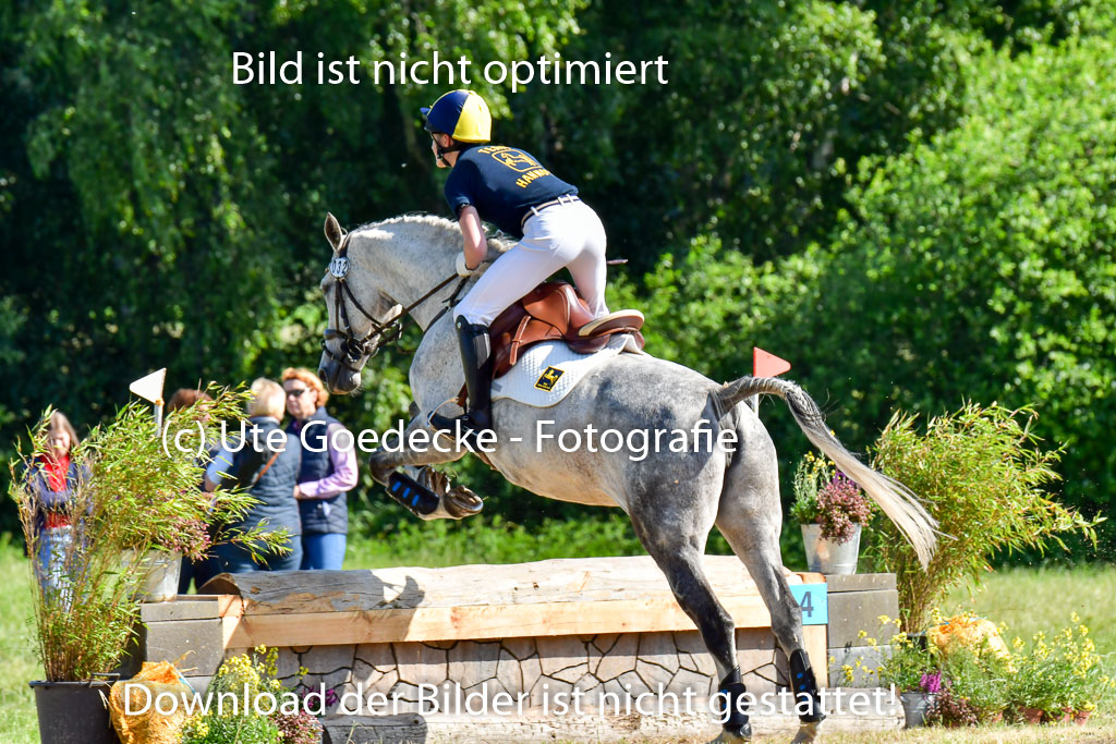 Goldene Schärpe PFerde  in Löningen  11+12.6.22 | 11062022 - Gelände 1 Abt_0332 
