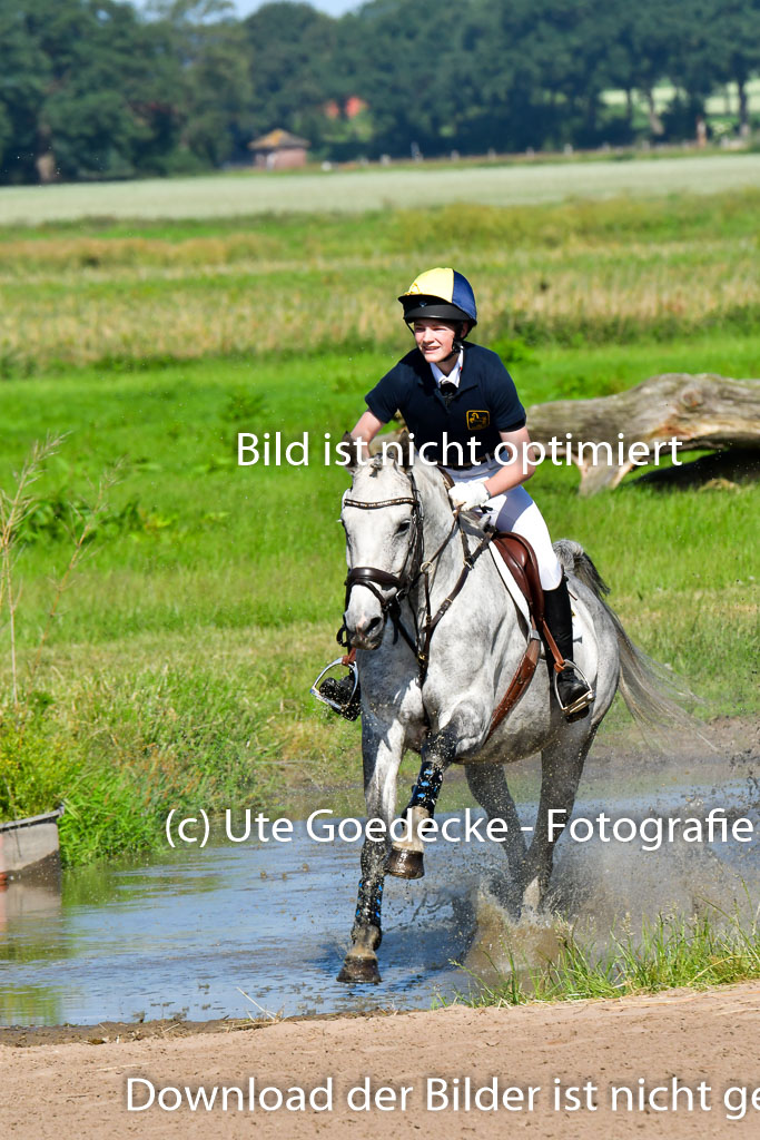 Goldene Schärpe PFerde  in Löningen  11+12.6.22 | 11062022 - Gelände 1 Abt_0334 
