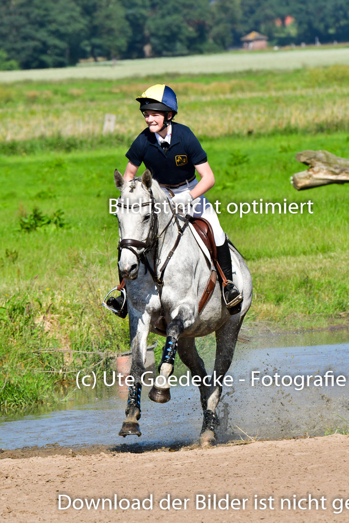 Goldene Schärpe PFerde  in Löningen  11+12.6.22 | 11062022 - Gelände 1 Abt_0336 