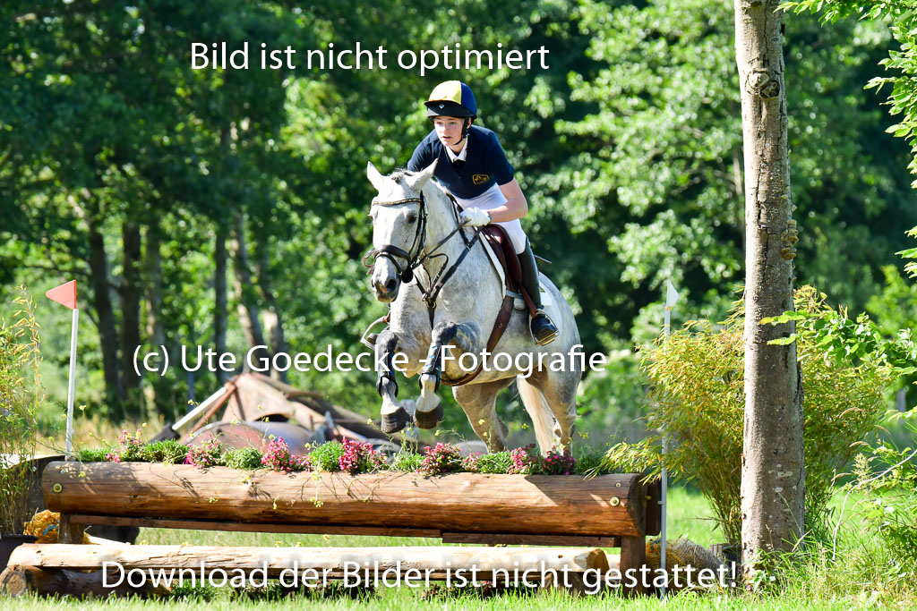 Goldene Schärpe PFerde  in Löningen  11+12.6.22 | 11062022 - Gelände 1 Abt_0337 