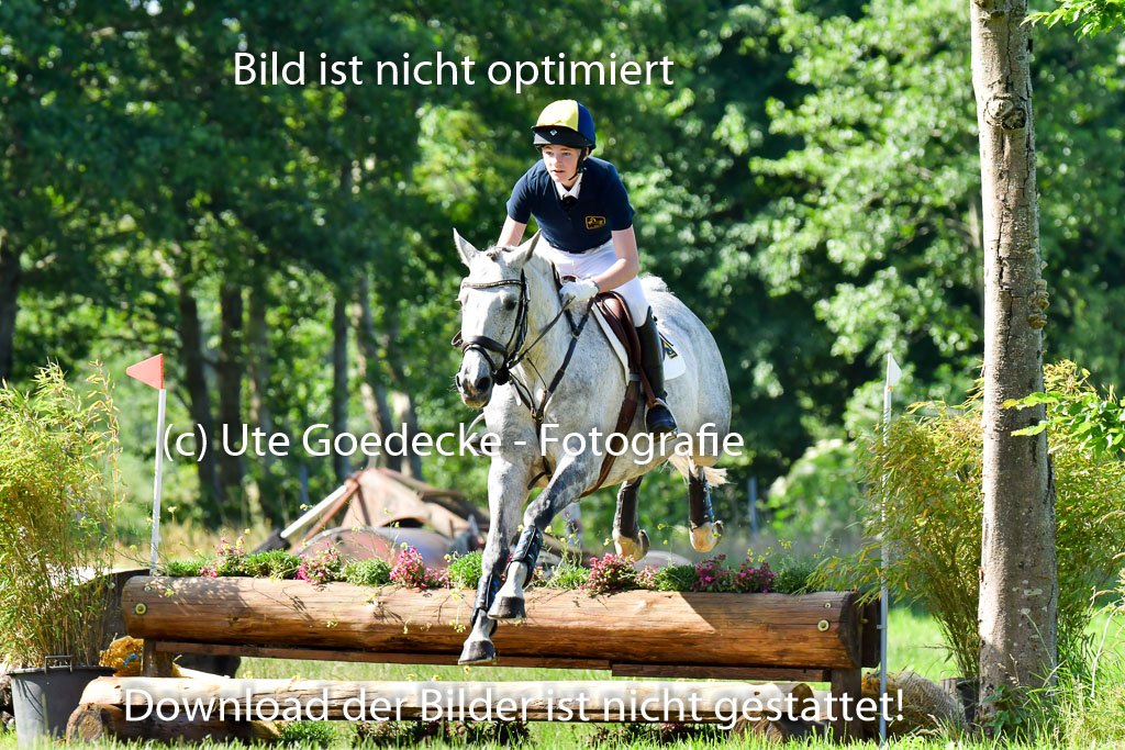 Goldene Schärpe PFerde  in Löningen  11+12.6.22 | 11062022 - Gelände 1 Abt_0338 
