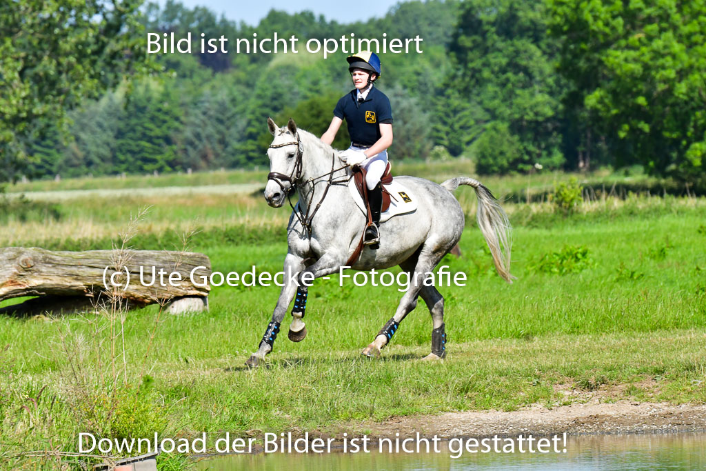 Goldene Schärpe PFerde  in Löningen  11+12.6.22 | 11062022 - Gelände 1 Abt_0340 