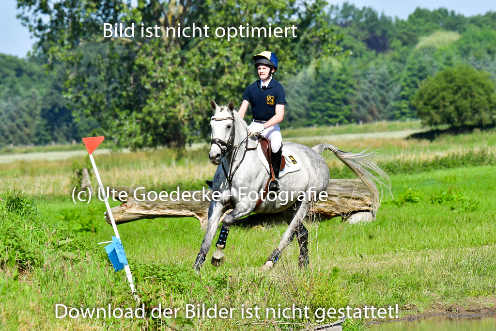 Goldene Schärpe PFerde  in Löningen  11+12.6.22 | 11062022 - Gelände 1 Abt_0341 