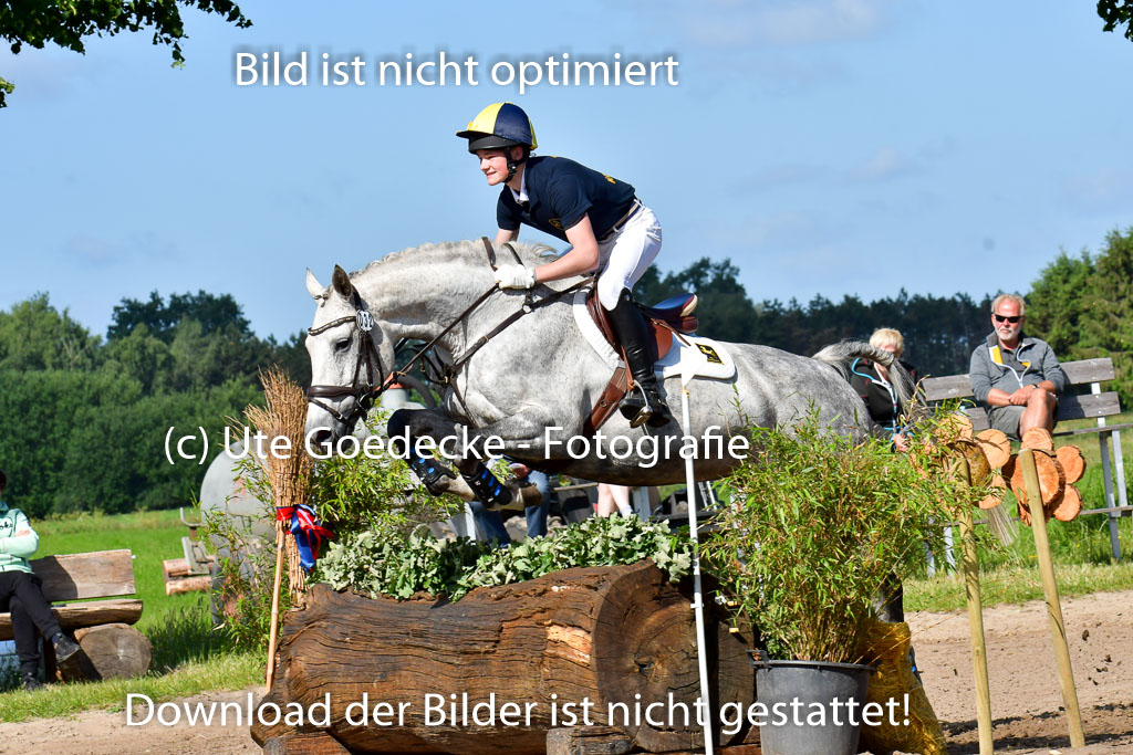 Goldene Schärpe PFerde  in Löningen  11+12.6.22 | 11062022 - Gelände 1 Abt_0343 