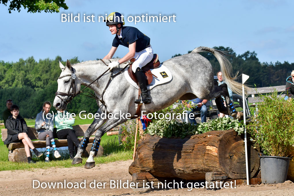 Goldene Schärpe PFerde  in Löningen  11+12.6.22 | 11062022 - Gelände 1 Abt_0344 