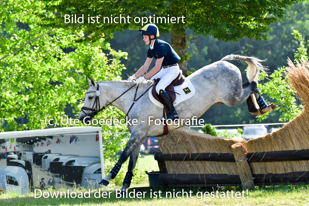 Goldene Schärpe PFerde  in Löningen  11+12.6.22 | 11062022 - Gelände 1 Abt_0347 