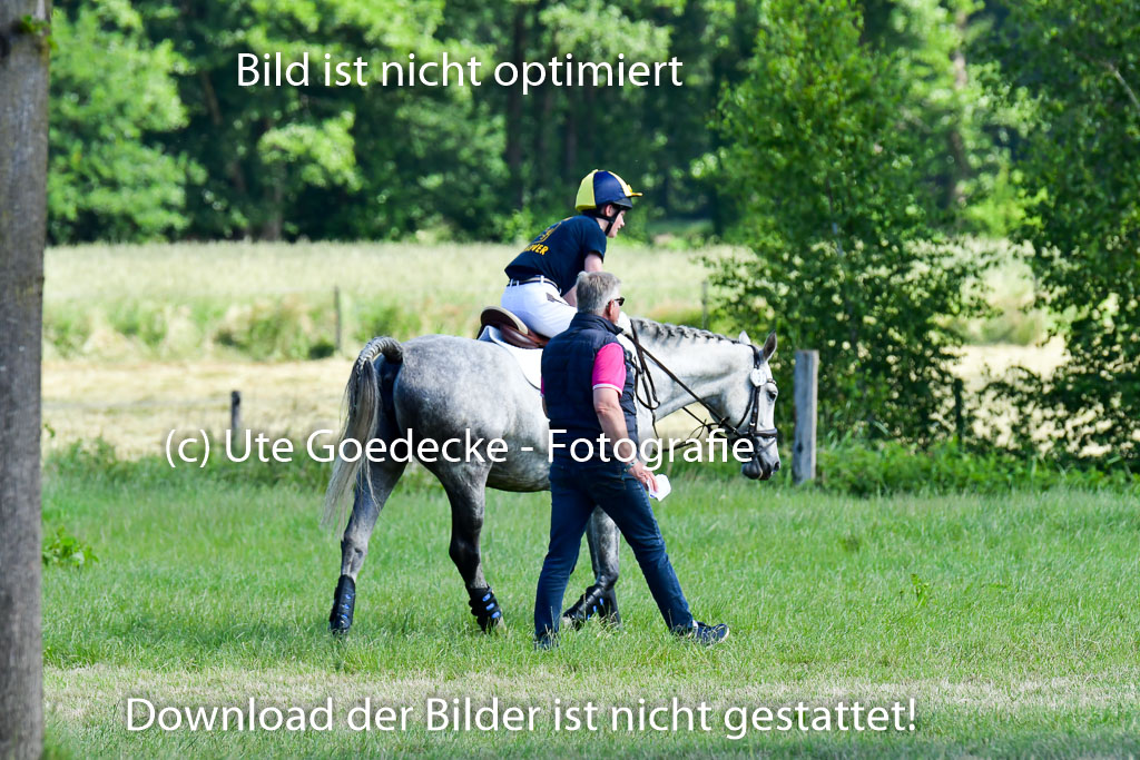 Goldene Schärpe PFerde  in Löningen  11+12.6.22 | 11062022 - Gelände 1 Abt_0350 