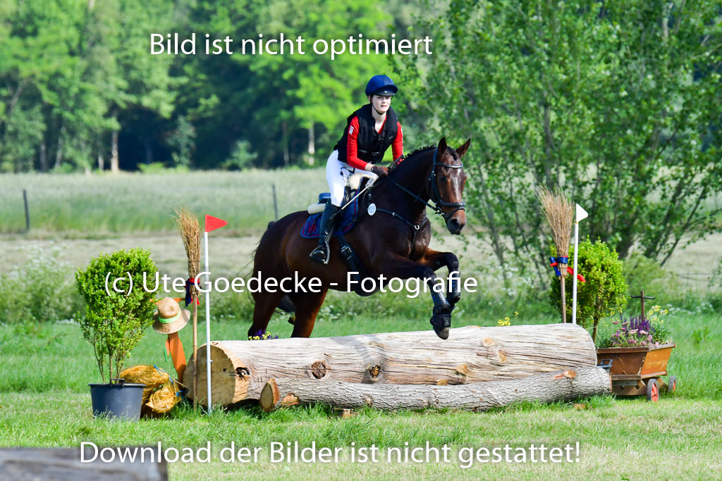 Goldene Schärpe PFerde  in Löningen  11+12.6.22 | 11062022 - Gelände 1 Abt_0351
