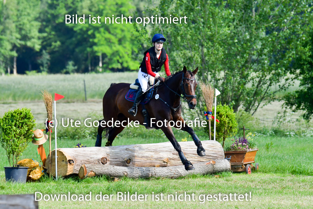 Goldene Schärpe PFerde  in Löningen  11+12.6.22 | 11062022 - Gelände 1 Abt_0352 