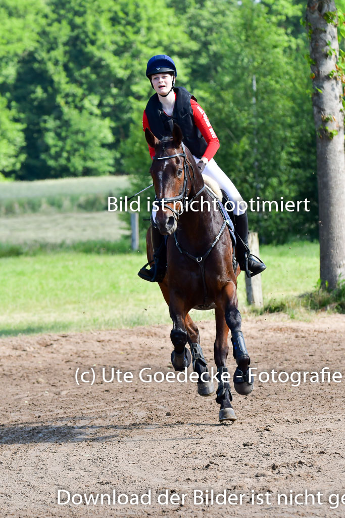 Goldene Schärpe PFerde  in Löningen  11+12.6.22 | 11062022 - Gelände 1 Abt_0353 