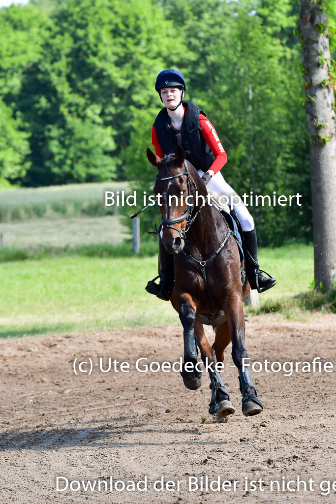 Goldene Schärpe PFerde  in Löningen  11+12.6.22 | 11062022 - Gelände 1 Abt_0354 
